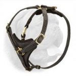 Lightweight Tracking/Walking Leather Harness for Dogue de Bordeaux Breed