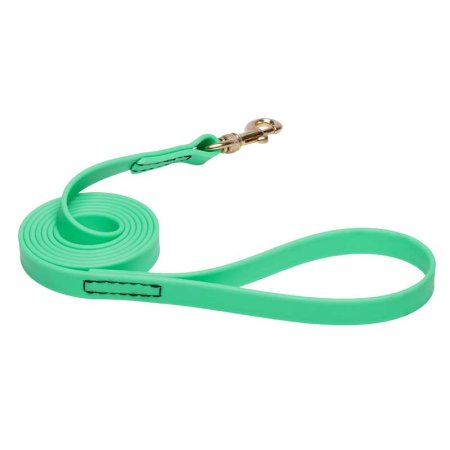 Green Waterproof Dogue de Bordeaux Leash Made of Biothane