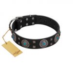 "Boundless Blue" FDT Artisan Black Leather Dogue de Bordeaux Collar with Chrome Plated Brooches and Square Studs
