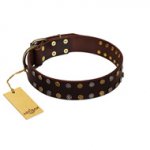 "To the Moon and Back" FDT Artisan Brown Leather Dogue de Bordeaux Collar with Bronze-like Star Studs