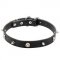 "Pirate" Leather Dogue de Bordeaux Collar with Spikes and Skulls