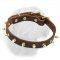 Multifunctional Amazing Spiked Dogue de Bordeaux Collar