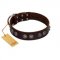 "King Arthur" FDT Artisan Brown Leather Dogue de Bordeaux Collar with Spiky Plates