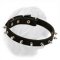 Dogue de Bordeaux Refined Shape Leather Collar with Buckle and Nickel Plated Spikes