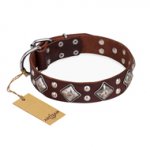 "King of Grace" FDT Artisan Stylish Leather Dogue de Bordeaux Collar with Old Silver-Like Plated Decorations