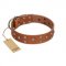 "Enchanted Skulls" FDT Artisan Tan Leather Dogue de Bordeaux Collar with Chrome Plated Skulls
