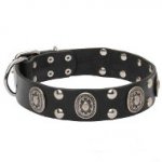 'Gothic Style' Leather Dogue de Bordeaux Collar