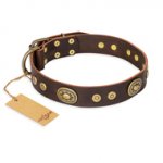 "One-of-a-Kind" FDT Artisan Handmade Decorated Brown Leather Dogue de Bordeaux Collar