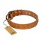 "Autumn Story" FDT Artisan Leather Dogue de Bordeaux Collar with Old Bronze Look Studs