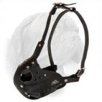 Axial Side Reinforcement Agitation Training Muzzle for Dogue de Bordeaux