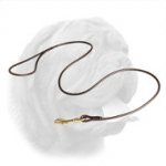 Dog Shows Dogue de Bordeaux Round Leash