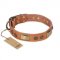 "Lost Desert" FDT Artisan Leather Dogue de Bordeaux Collar with Brass Decorations