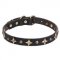 'Milky Way' Leather Dogue de Bordeaux Collar with Bronze-Plated Studs and Stars