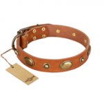 "Visual Magic" FDT Artisan Tan Leather Dogue de Bordeaux Collar for Daily Activities
