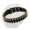 Leather Special Dogue de Bordeaux Collar With Golden-Like Spikes