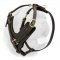 Luxury Handcrafted Leather Dog Harness with Brass Plated Hardware for Walking and Training