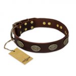 "Chocolate kiss" FDT Artisan Leather Dogue de Bordeaux Collar with Old Bronze Look Oval Plates
