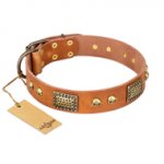 "Saucy Nature" FDT Artisan Tan Leather Dogue de Bordeaux Collar with Old Bronze Look Plates and Skulls