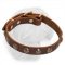 Trendy Dogue de Bordeaux Leather Collar with Brass Adornment