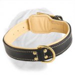 Royal Nappa Padded Hand Made Leather Dogue de Bordeaux Collar