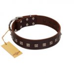 "Kingly Grace" FDT Artisan Brown Leather Dogue de Bordeaux Collar with Silver-like Dotted Studs