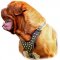 Dogue De Bordeaux Studded Walking dog harness-hand made harness