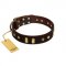 "Blinking Illusion" FDT Artisan Brown Leather Dogue de Bordeaux Collar with Old Bronze-like Studs and Plates