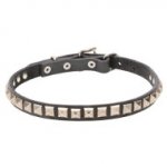 Elaborated Design Dogue de Bordeaux Collar with Chrome Plated Adornments