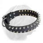 Dogue de Bordeaux Leather Spiked Dog Collar