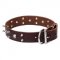 "Blackbeard" Leather Dogue de Bordeaux Collar