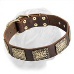 Awesome Dogue de Bordeaux Collar with Brass Plated Adornment