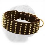"Gladiator" Extra Wide Leather Walking Collar with Spikes for Dogue de Bordeaux