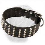 Extra Wide Leather Collar Decorated with Pyramids for Dogue de Bordeaux