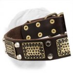 High-Quality Leather Dogue de Bordeaux Collar with Old Brass Massive Plates