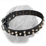 Exclusive Design Leather Dogue de Bordeaux Collar