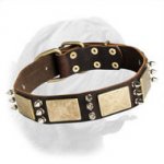 Walking Leather Dog Collar with Massive Decorations for Dogue de Bordeaux