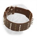 Extra Wide Leather Collar for Dogue de Bordeaux with Spikes and Studs