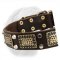 High-Quality Leather Dogue de Bordeaux Collar with Old Brass Massive Plates