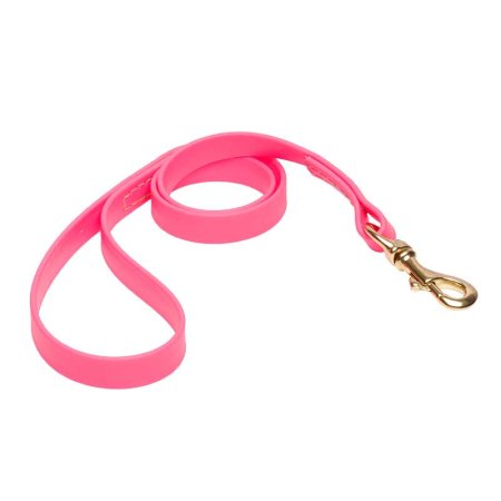 Pink Waterproof Dogue de Bordeaux Leash Made of Biothane