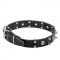Dogue de Bordeaux Collar with Skulls and 2 Rows of Spikes