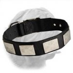 Nylon Dog Collar For Dogue de Bordeaux With Vintage Plates