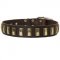 Trendy Dogue de Bordeaux Leather Collar with Brass Covered Plates