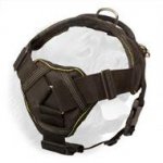 Functional All-Weather Nylon Harness with Chest Plate