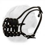 Everyday Light Weight Super Ventilation Muzzle