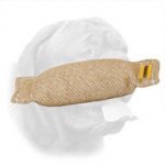Dogue de Bordeaux Puppy Jute Bite Tug Without Handles