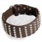 Studded Dogue de Bordeaux Collar for Stylish Walks