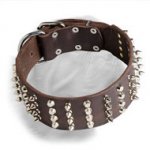 Extra Wide Leather Studded and Spiked Dogue de Bordeaux Collar