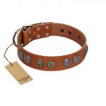 "Luxurious Life" Premium Quality FDT Artisan Tan Leather Dogue de Bordeaux Collar with Round Adornments