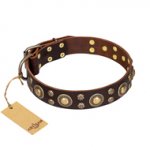 'Flower Melody' FDT Artisan Dogue de Bordeaux Brown Leather Dog Collar with Mixed Studs