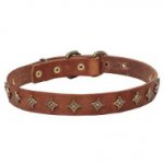 "Yellow Star" Narrow Leather Dogue de Bordeaux Collar